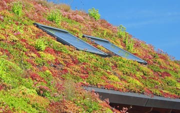 Sevick End living roof systems